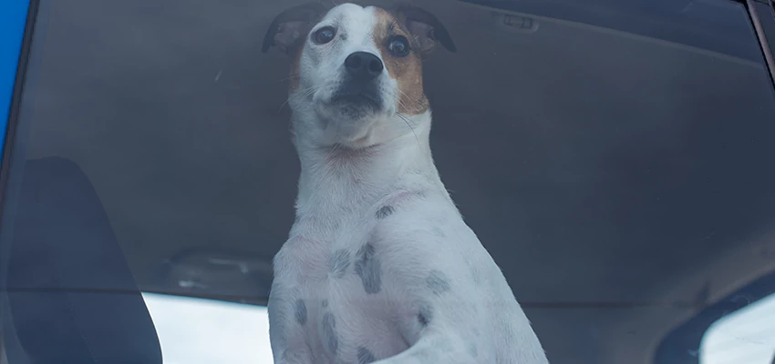 Car Lockout Solutions in Coto de Caza, California